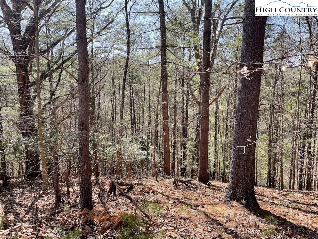 43 South Turkey Ridge