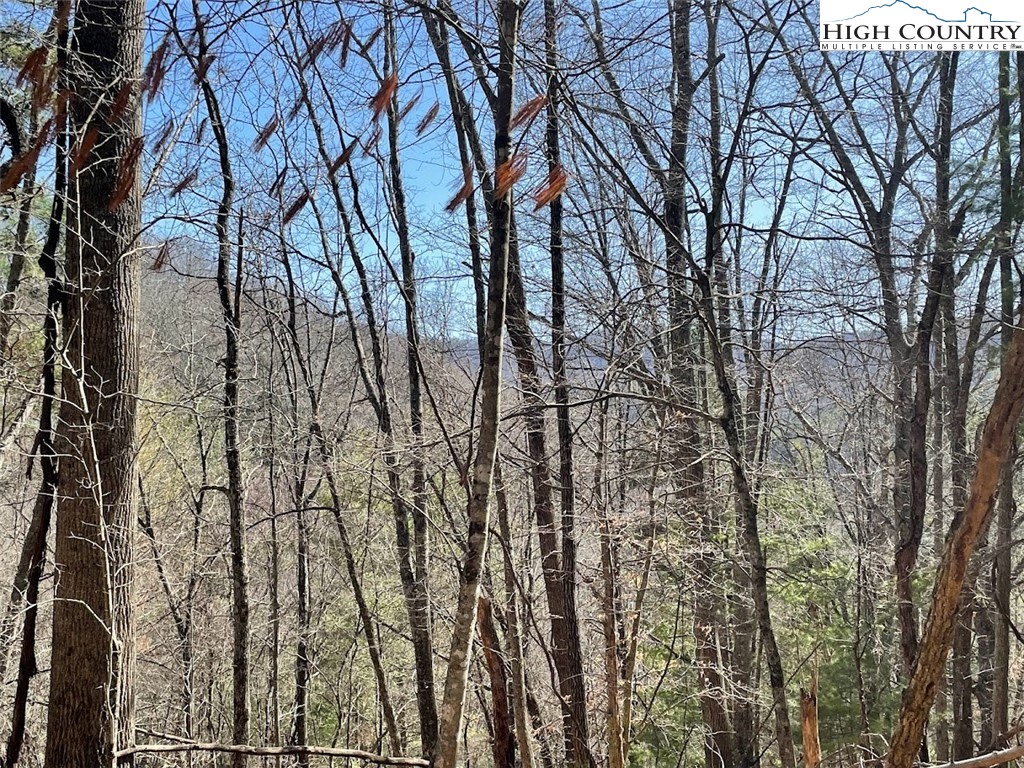 43 South Turkey Ridge