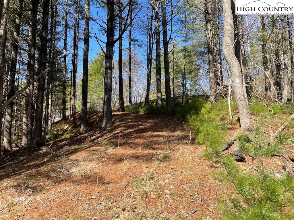 43 South Turkey Ridge