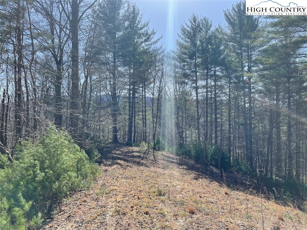 43 South Turkey Ridge