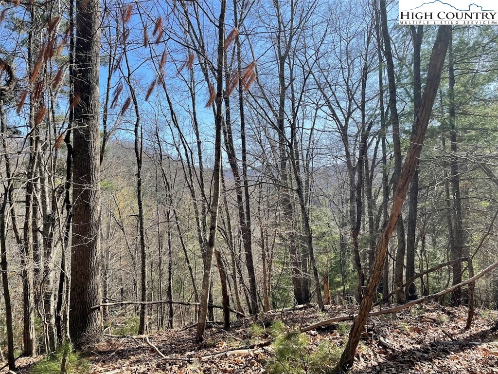 43 South Turkey Ridge