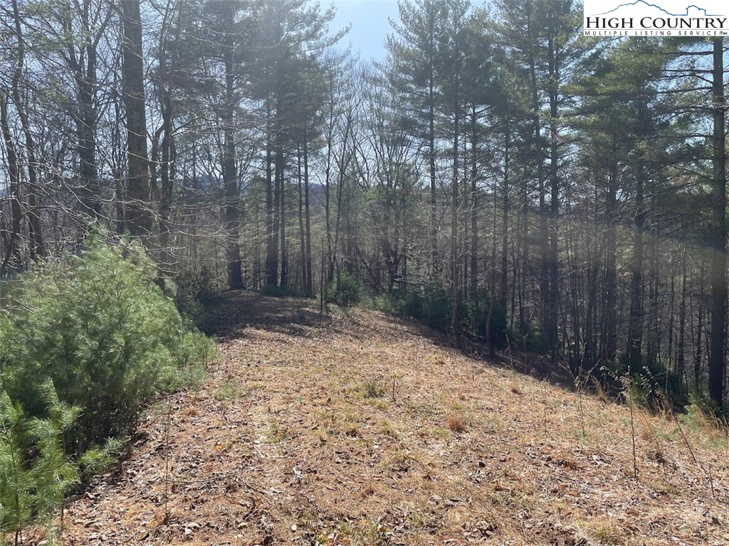 43 South Turkey Ridge