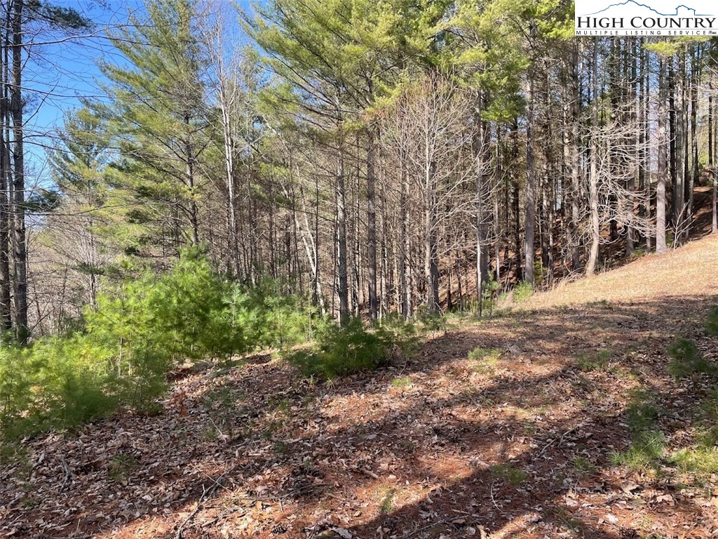 43 South Turkey Ridge