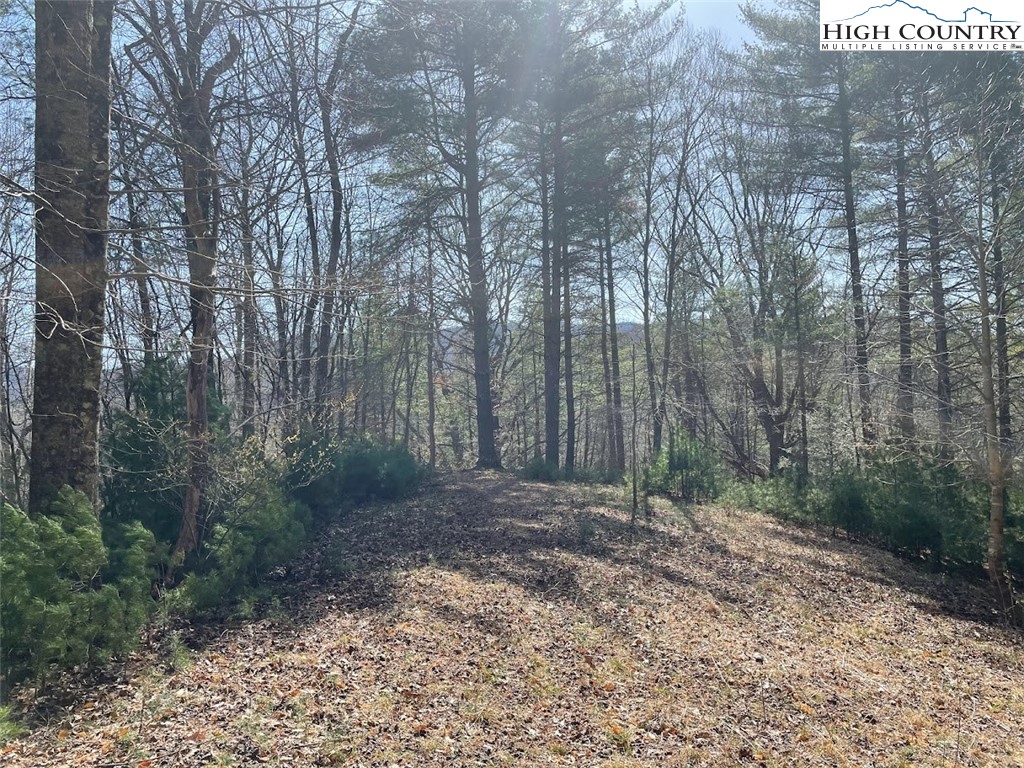 43 South Turkey Ridge