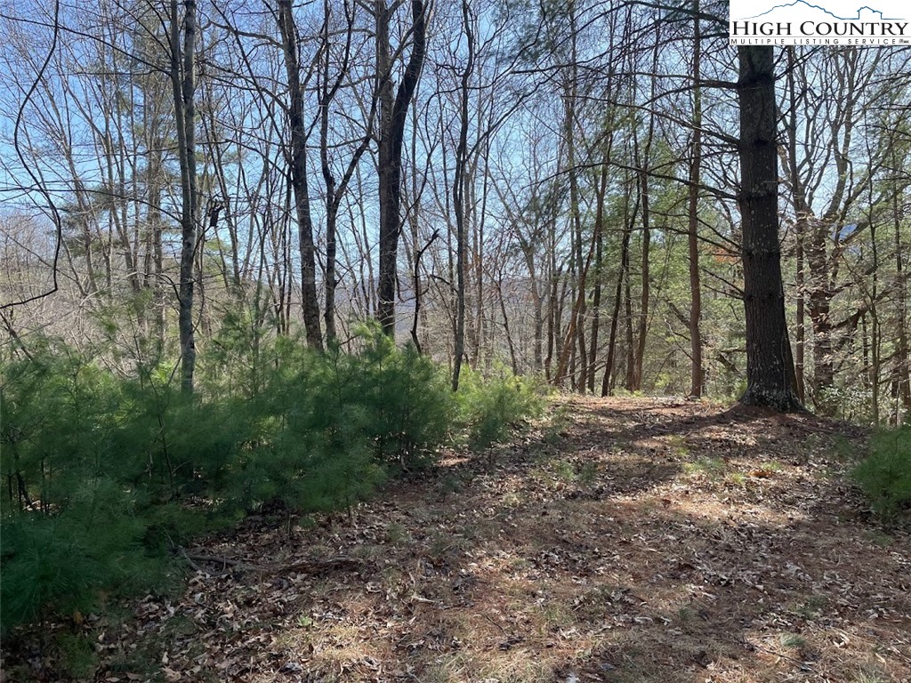 43 South Turkey Ridge