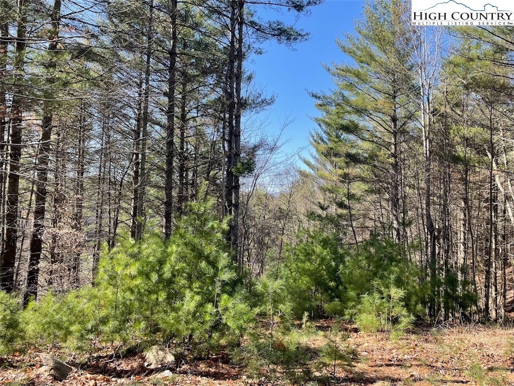 43 South Turkey Ridge