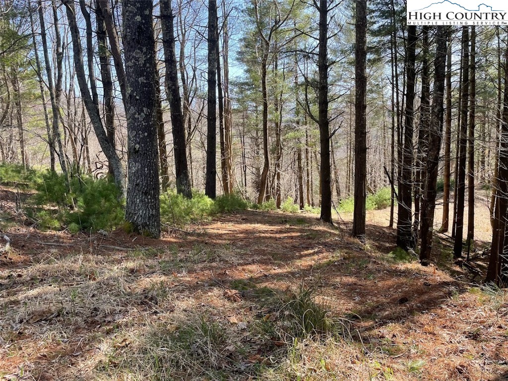 43 South Turkey Ridge