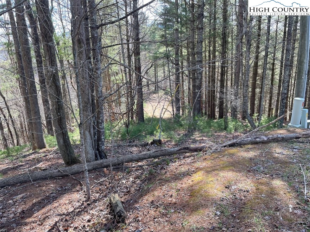 43 South Turkey Ridge