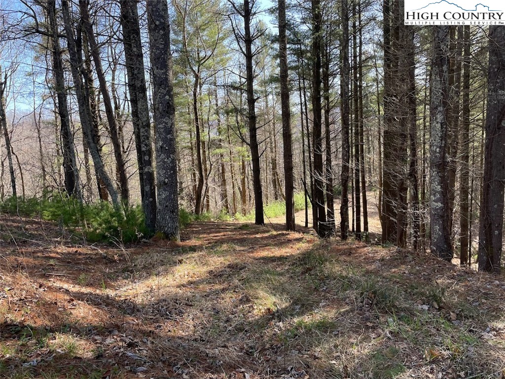 43 South Turkey Ridge