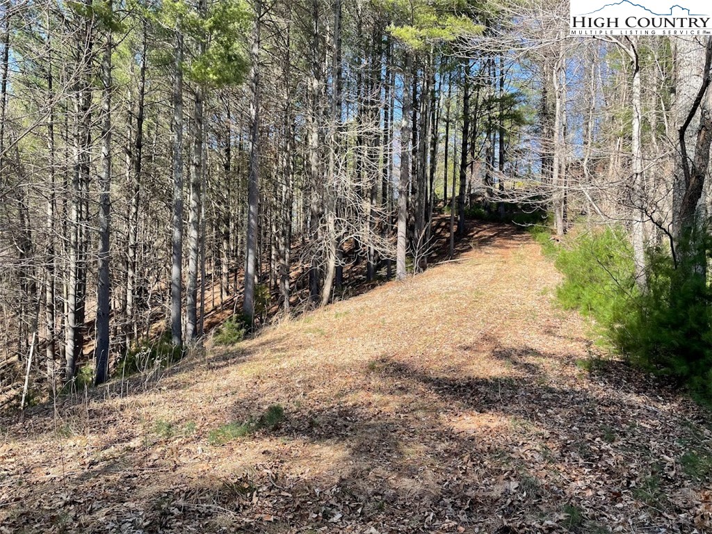 43 South Turkey Ridge