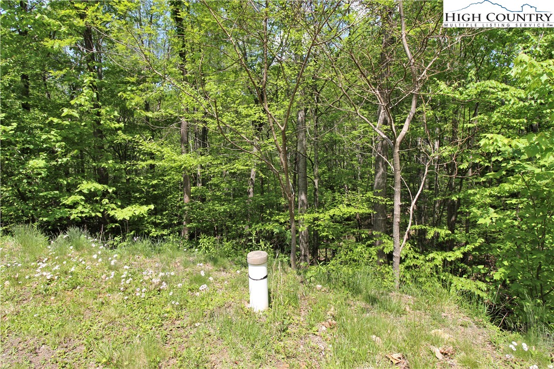 1 Christmas Mountain Lane