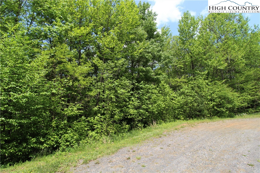 1 Christmas Mountain Lane