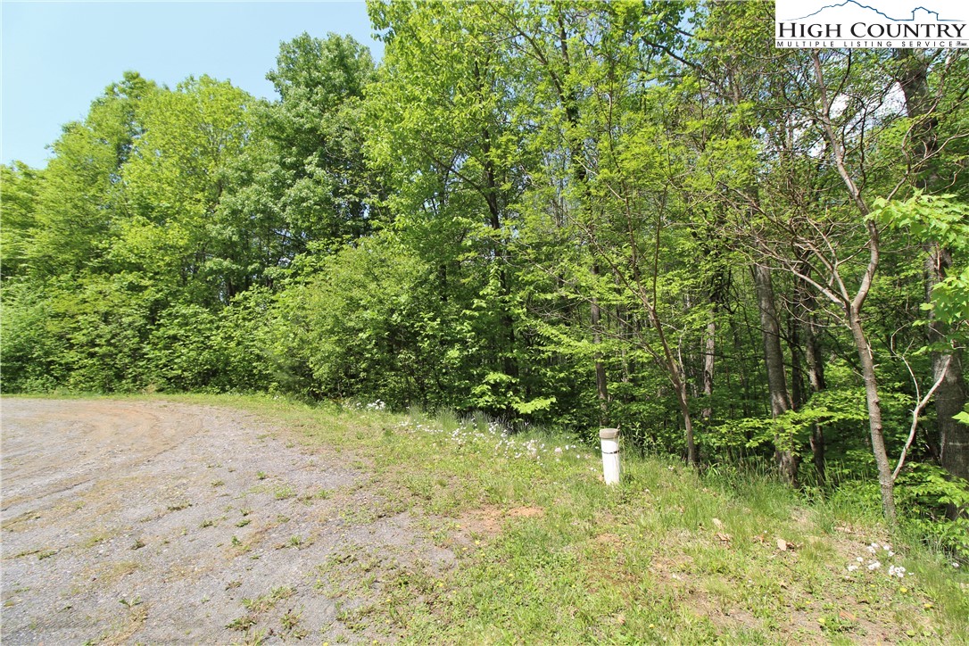 1 Christmas Mountain Lane