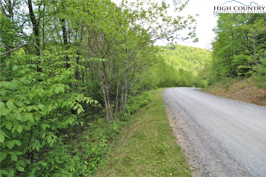 5 Christmas Mountain Lane