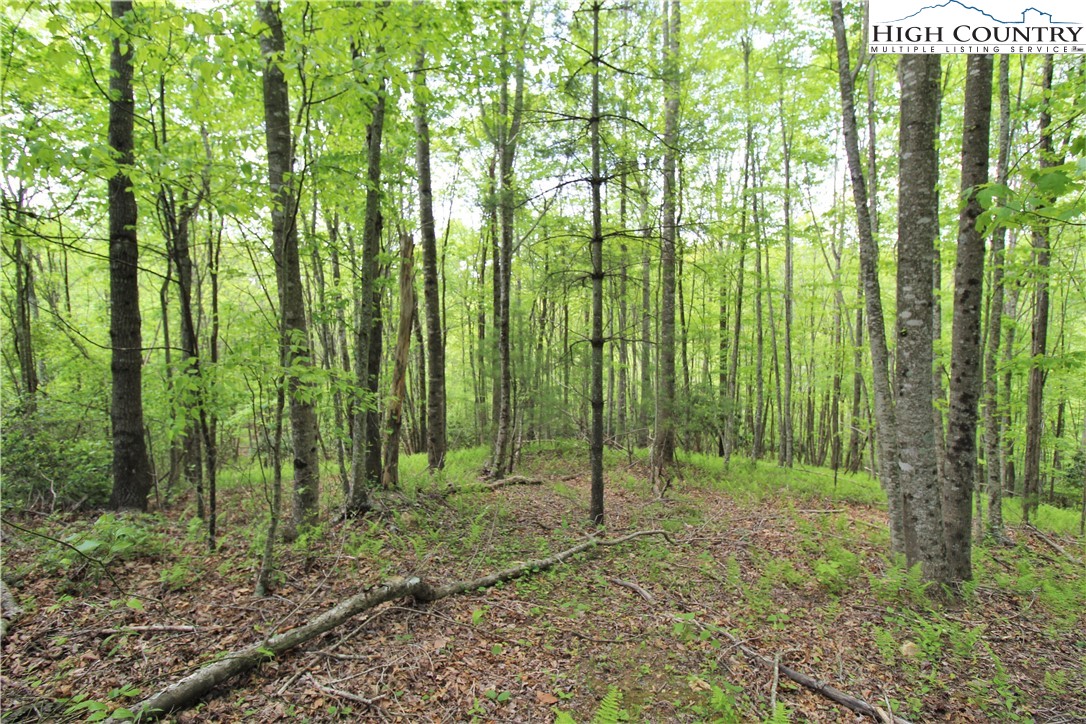 5 Christmas Mountain Lane