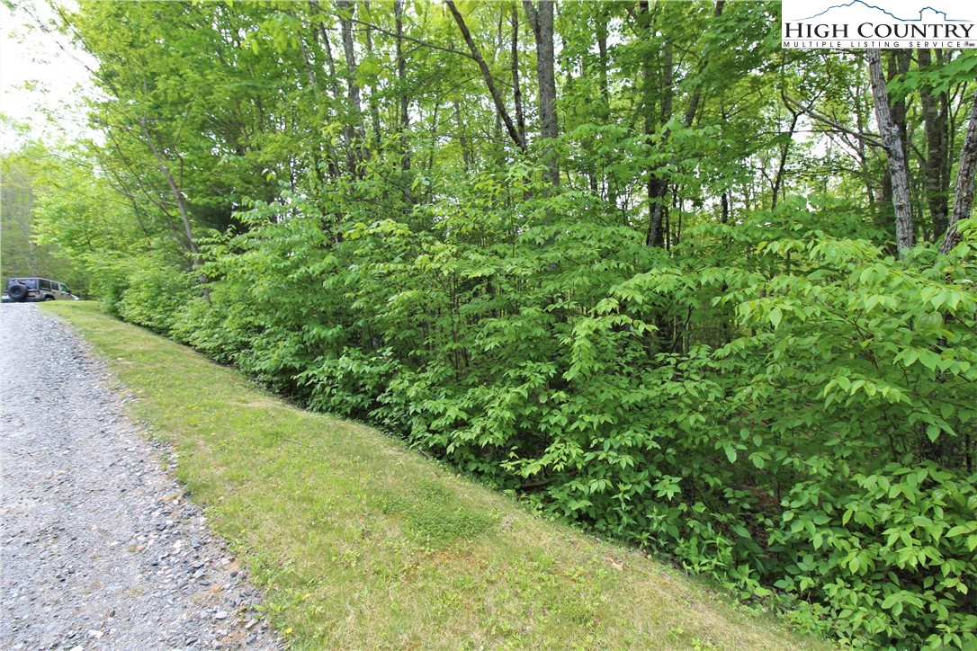 5 Christmas Mountain Lane