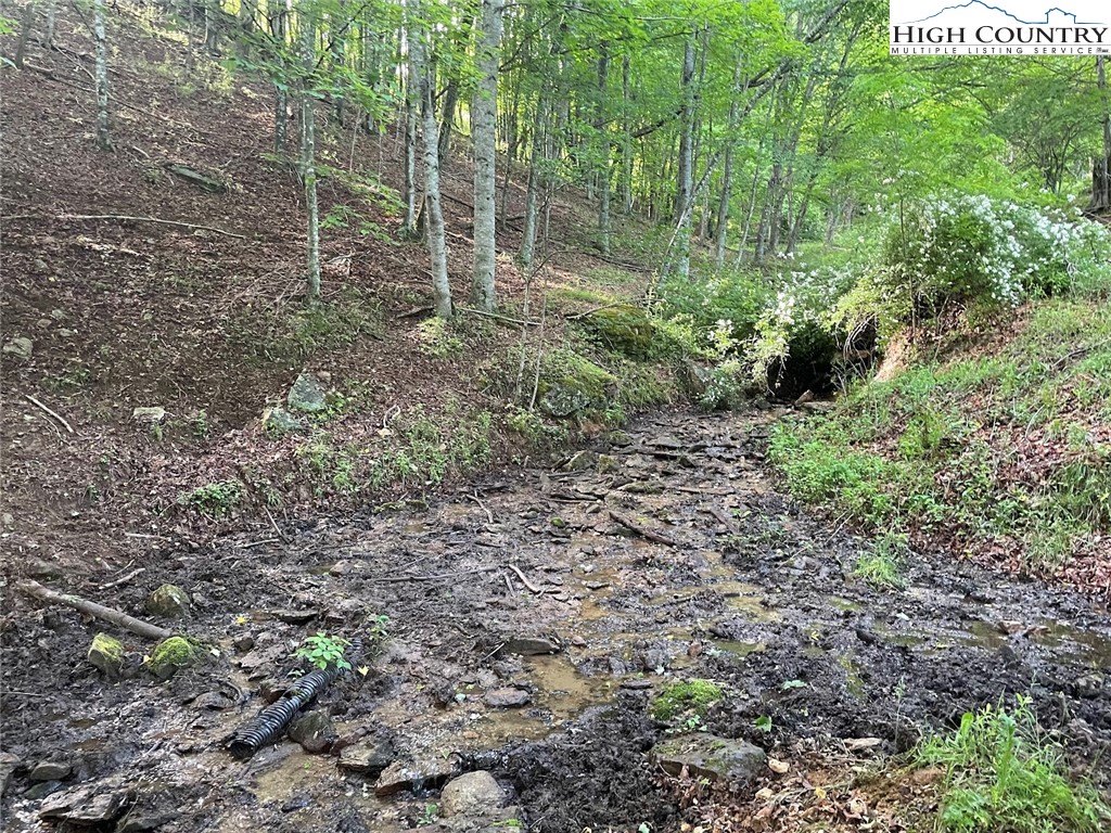 TBD Bear Wallow Road