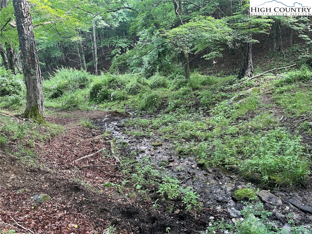 TBD Bear Wallow Road