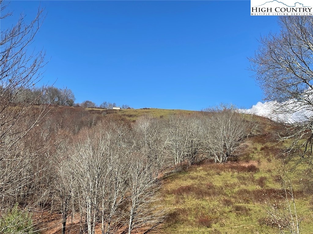 TBD Bear Wallow Road