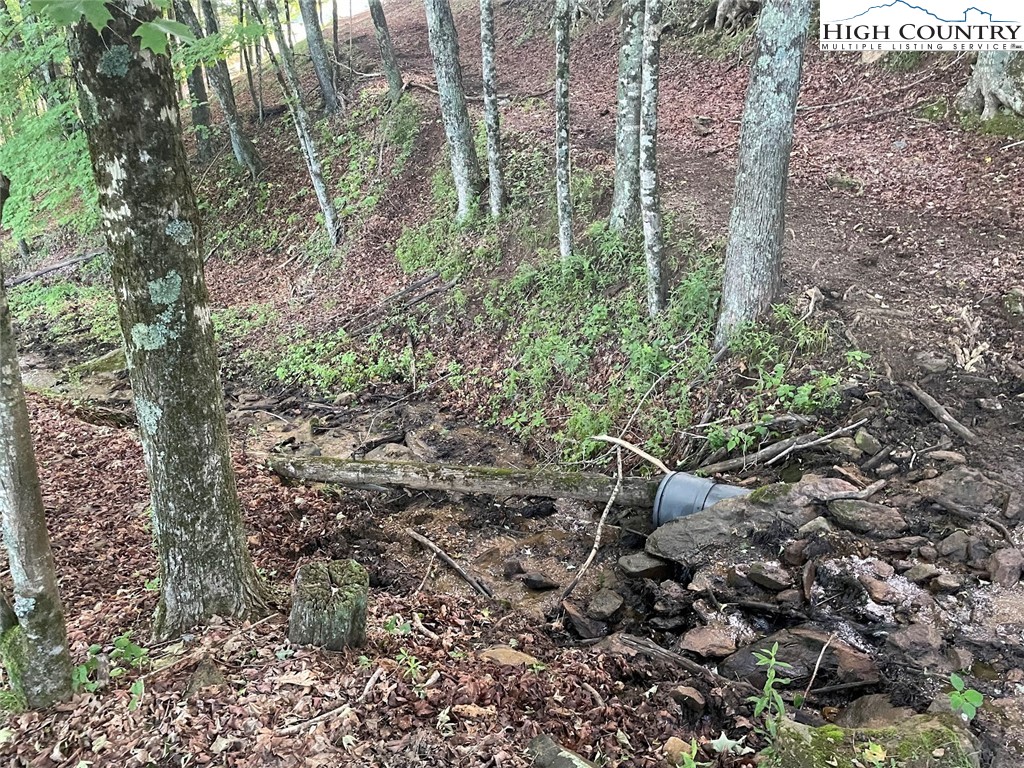 TBD Bear Wallow Road