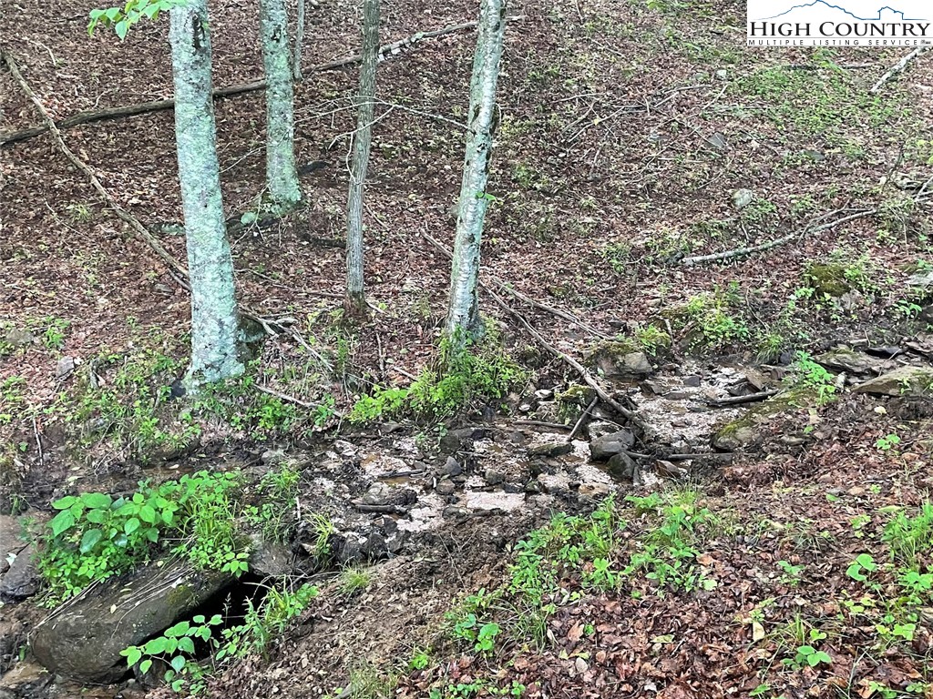 TBD Bear Wallow Road