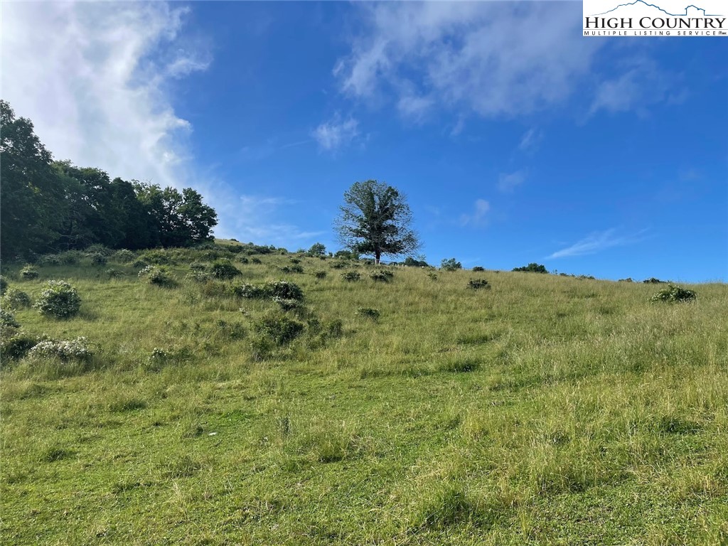 TBD Bear Wallow Road