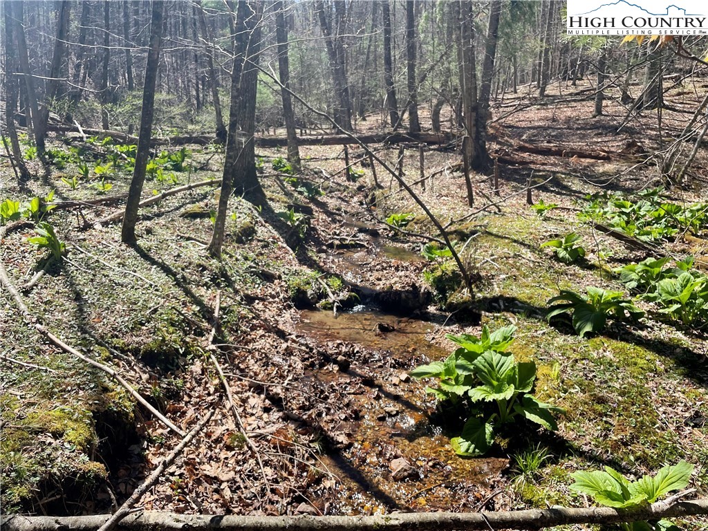 TBD South Laurel Fork Road