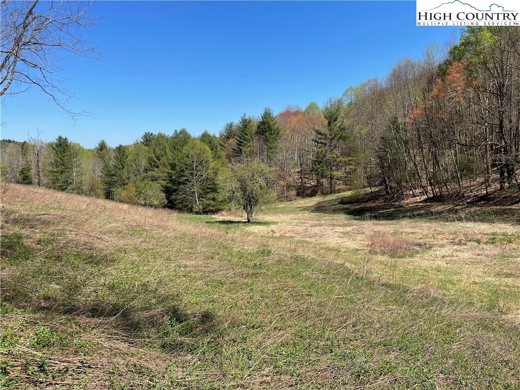 TBD South Laurel Fork Road