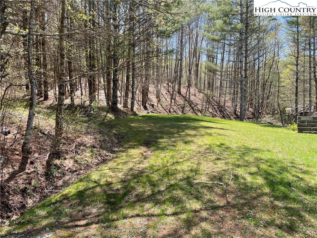 TBD South Laurel Fork Road