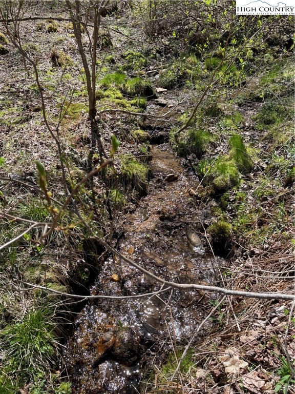 TBD South Laurel Fork Road