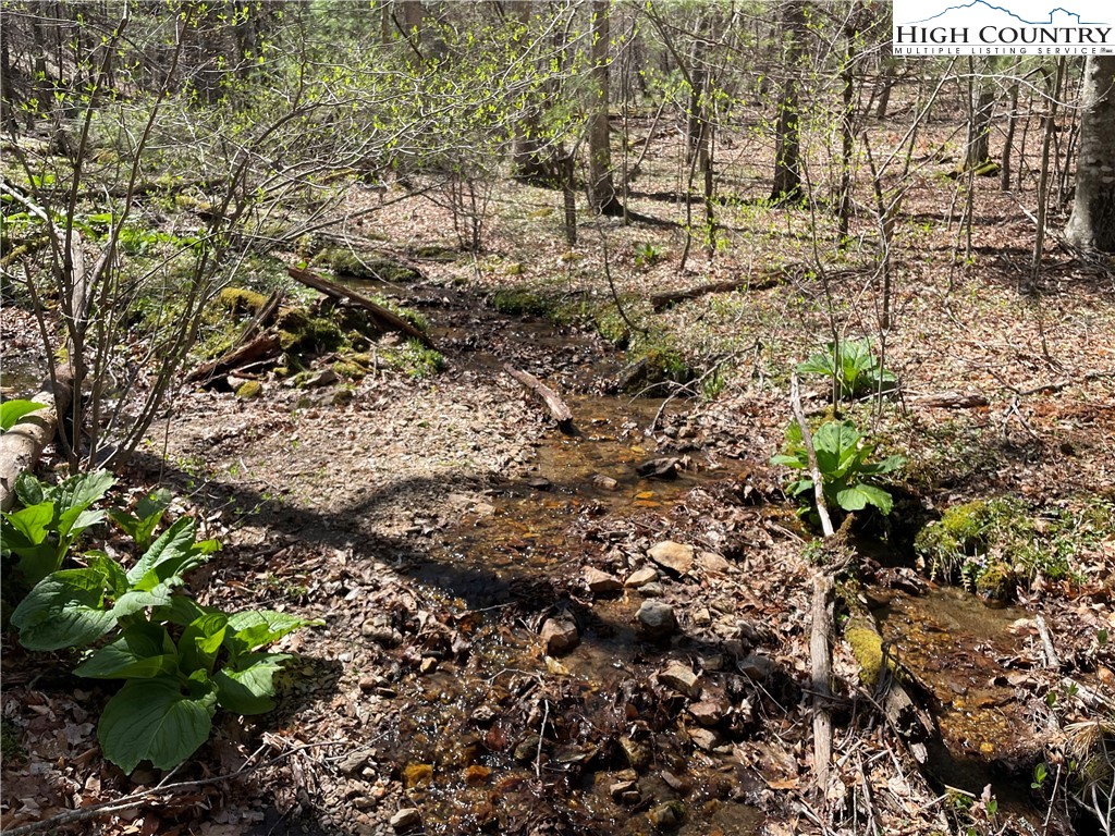 TBD South Laurel Fork Road