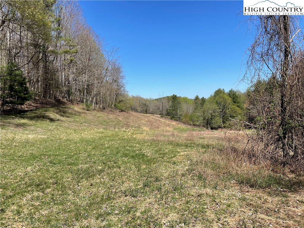 TBD South Laurel Fork Road