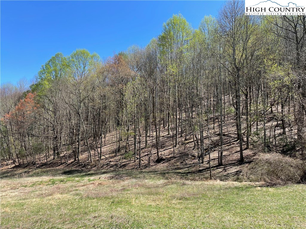 TBD South Laurel Fork Road