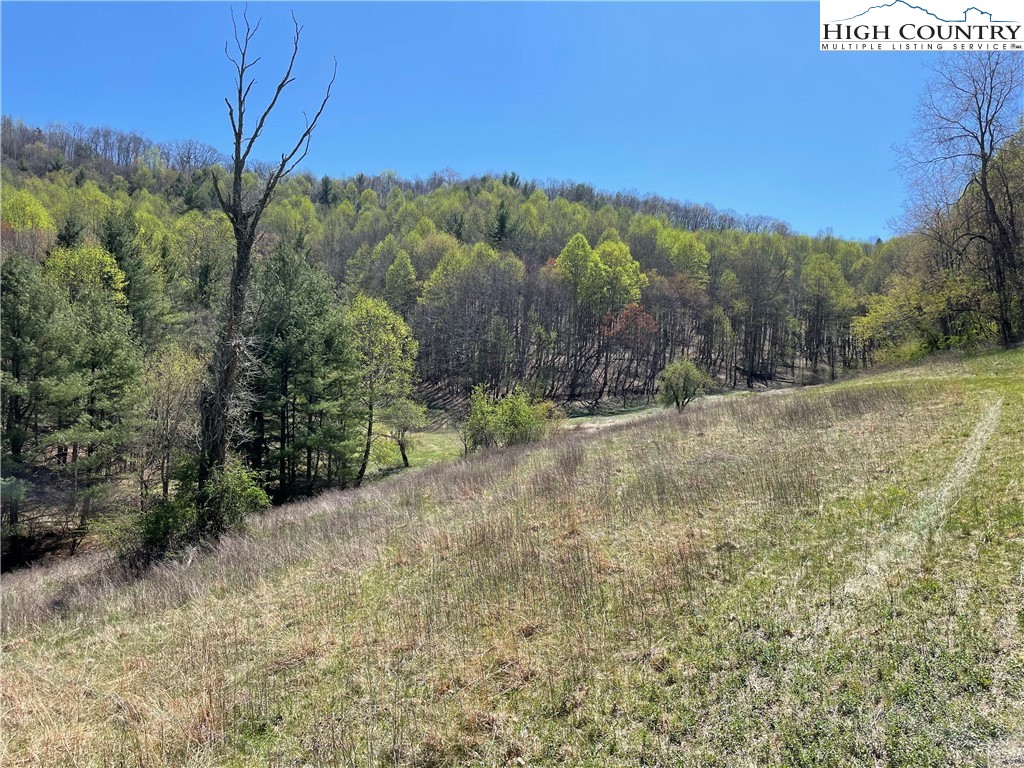 TBD South Laurel Fork Road