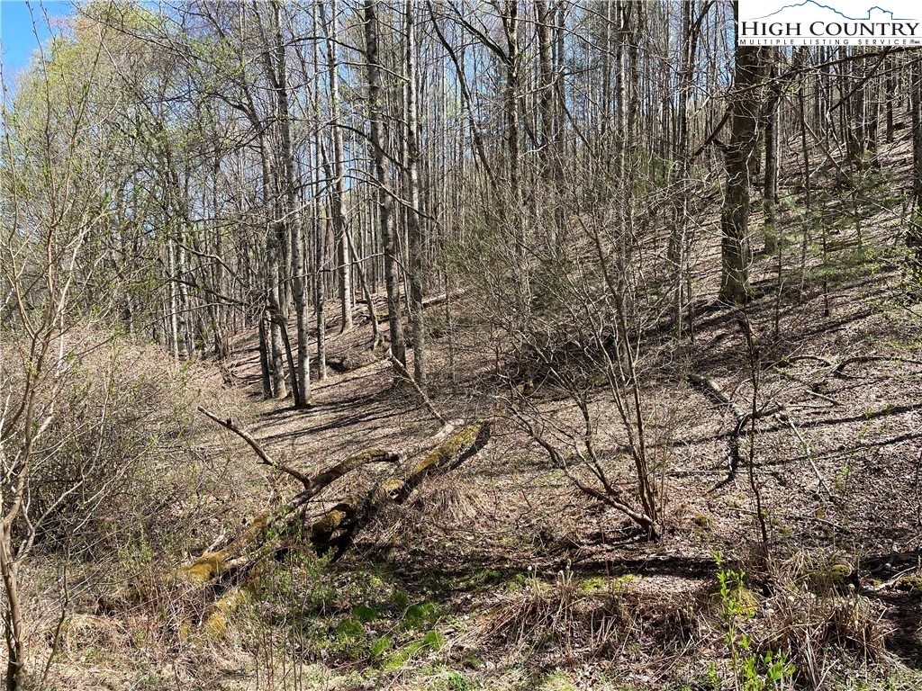 TBD South Laurel Fork Road