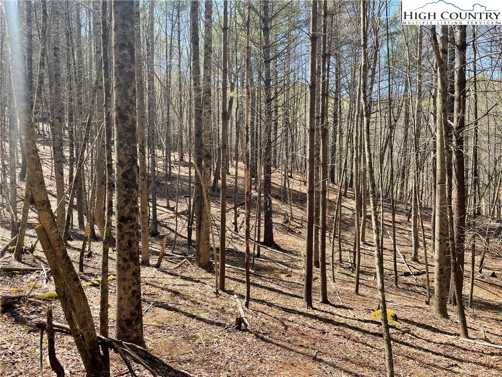 TBD South Laurel Fork Road