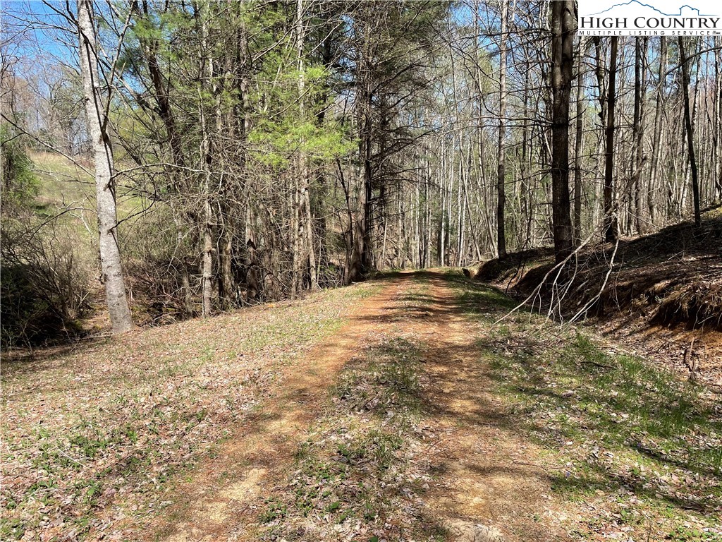 TBD South Laurel Fork Road