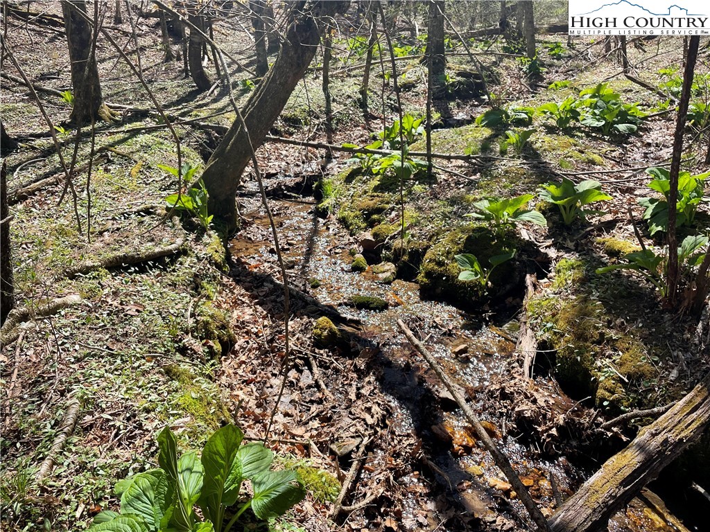 TBD South Laurel Fork Road