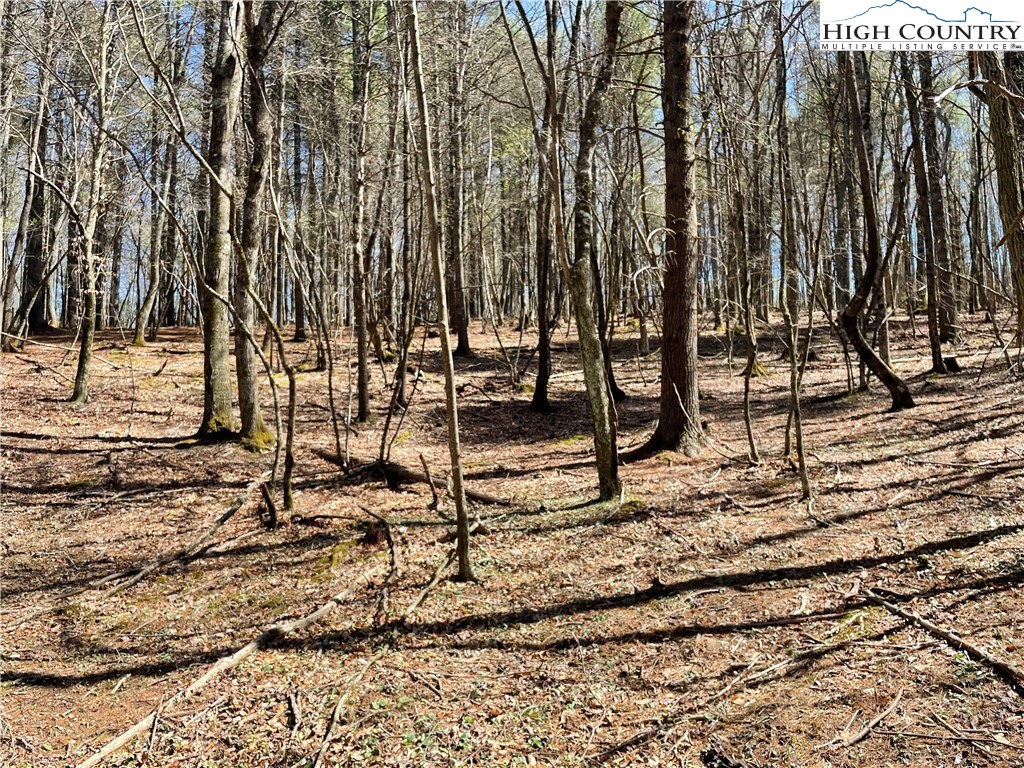 TBD South Laurel Fork Road