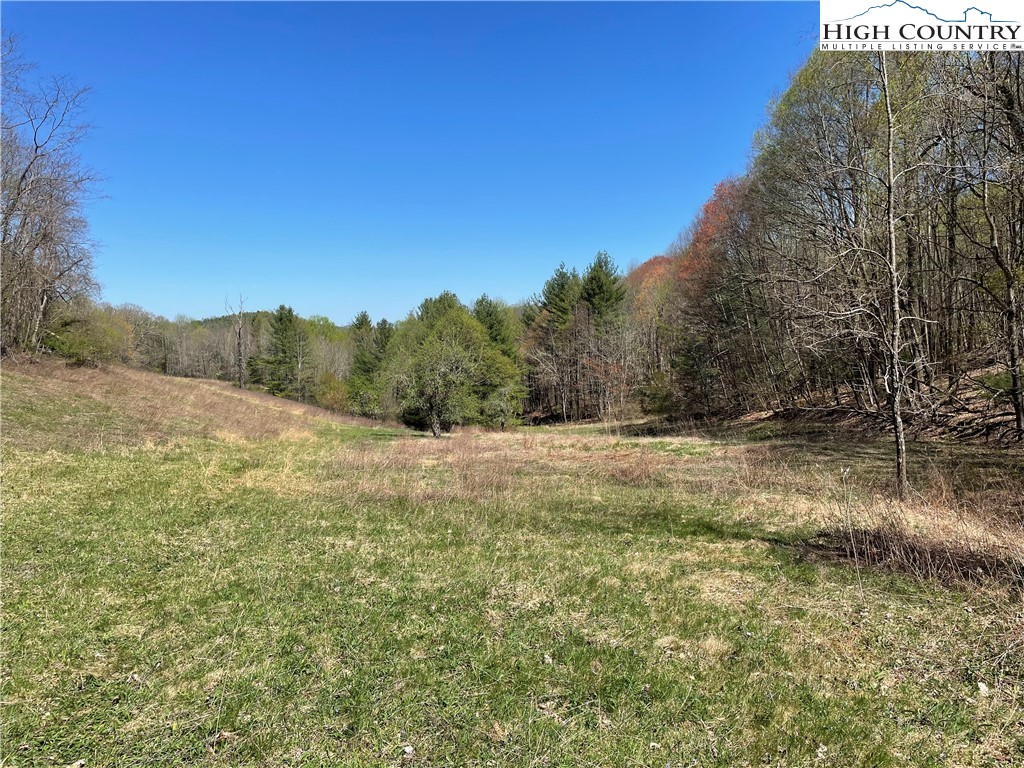 TBD South Laurel Fork Road