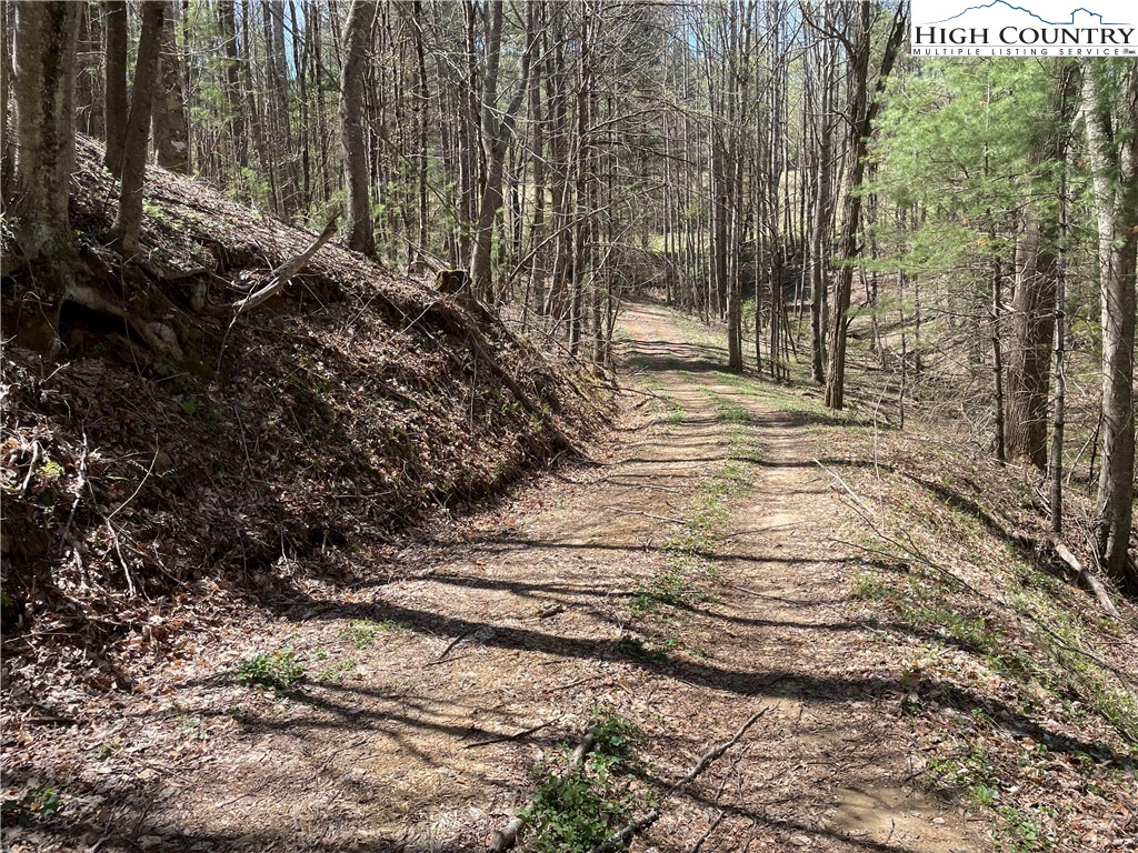 TBD South Laurel Fork Road