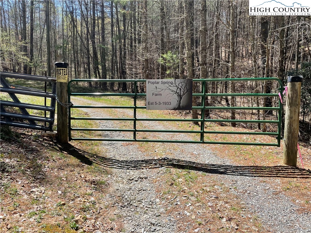 TBD South Laurel Fork Road