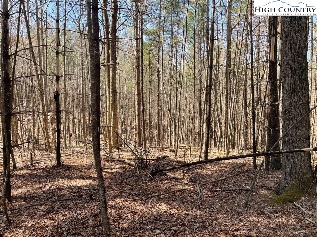 TBD South Laurel Fork Road