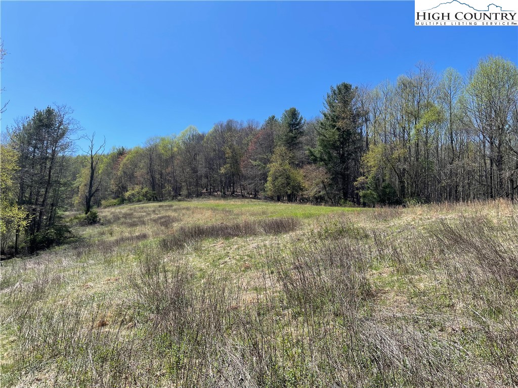 TBD South Laurel Fork Road