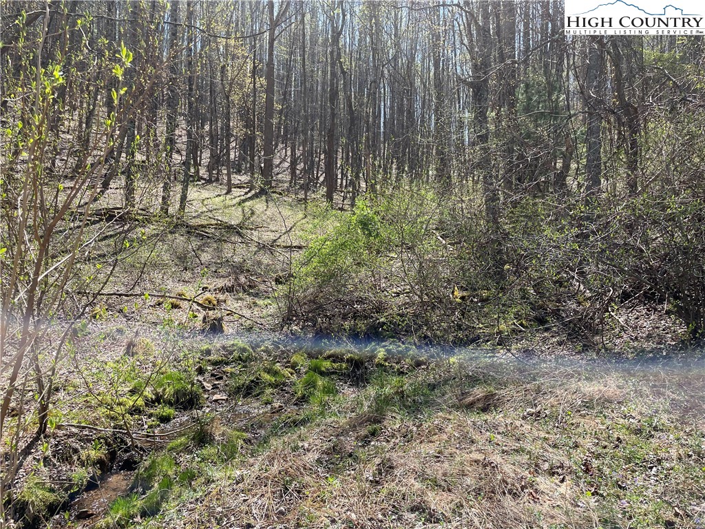 TBD South Laurel Fork Road