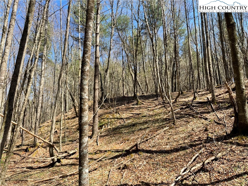 TBD South Laurel Fork Road