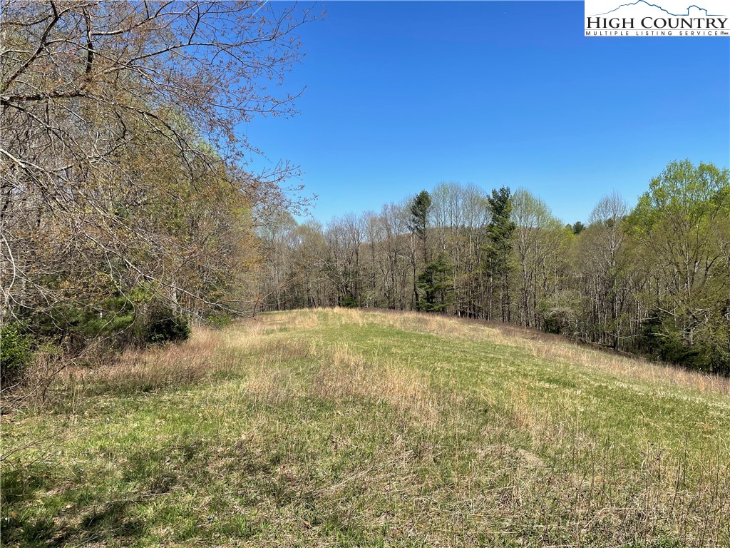 TBD South Laurel Fork Road