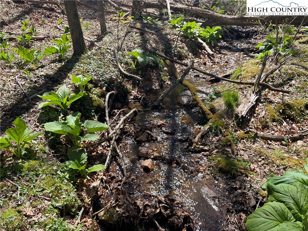 TBD South Laurel Fork Road