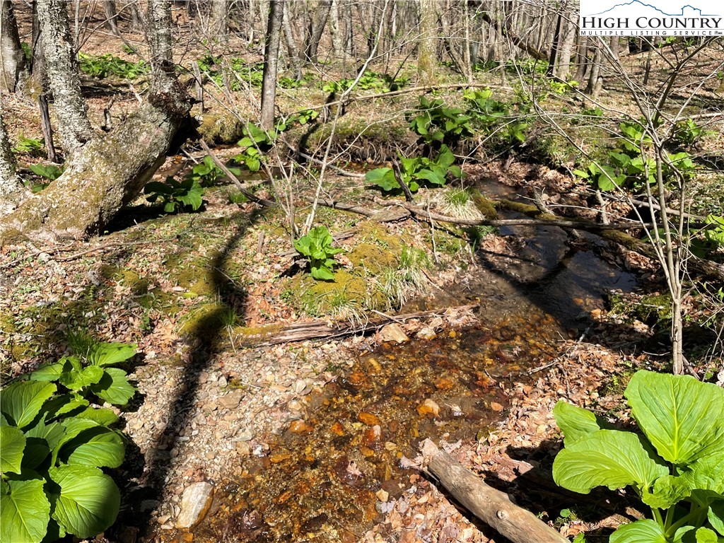 TBD South Laurel Fork Road