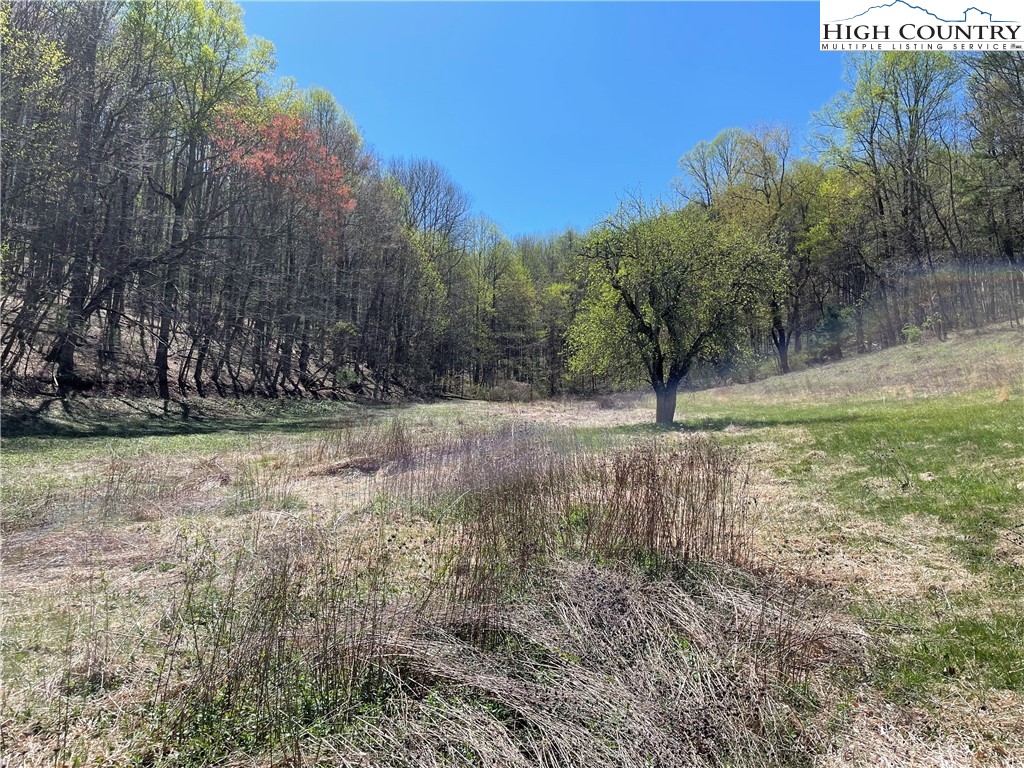 TBD South Laurel Fork Road